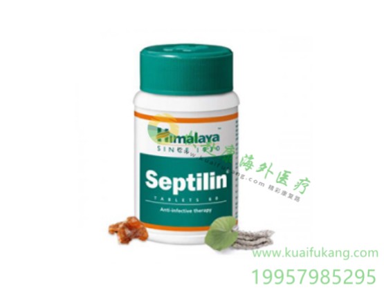 印度喜马拉雅免疫力调节片(Himalaya Septilin)说明书价格