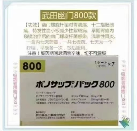 日本武田幽门800款