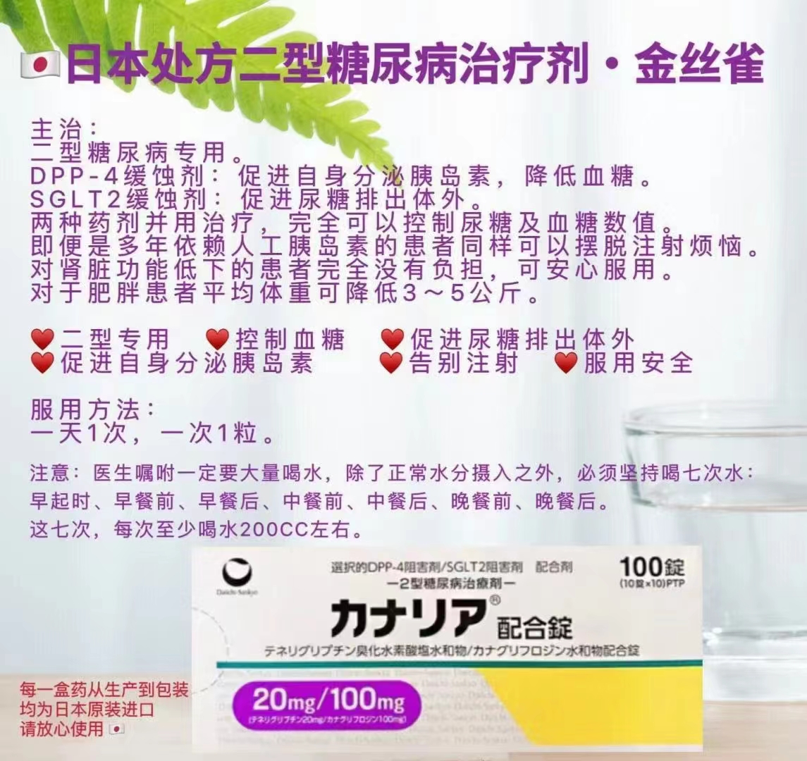 日本处方二型糖尿病治疗剂金丝雀说明书价格