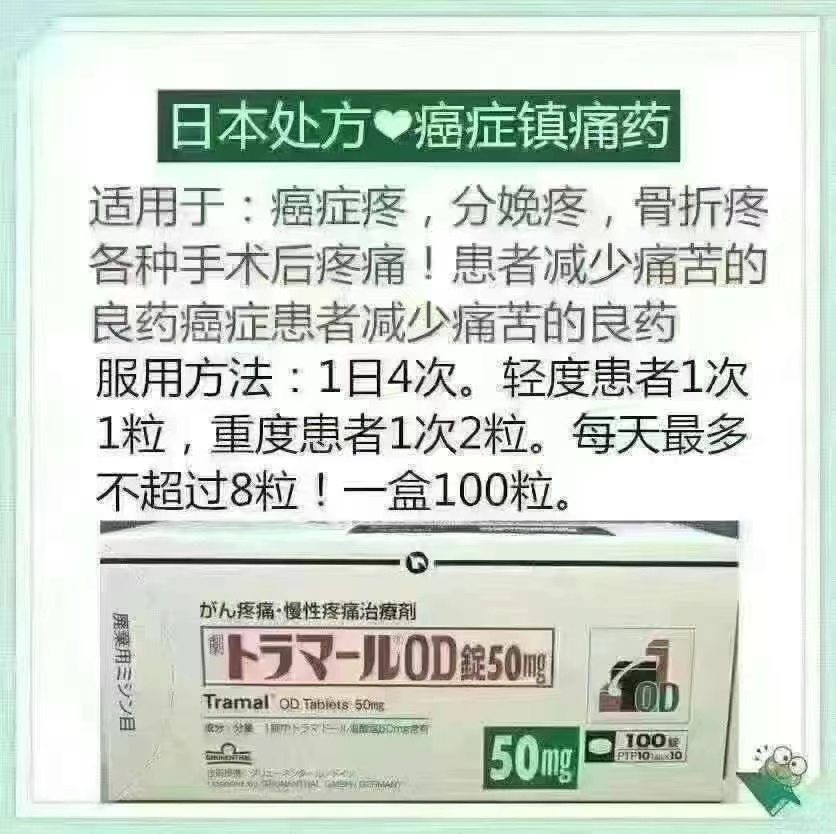 日本处方癌症镇痛药说明书
